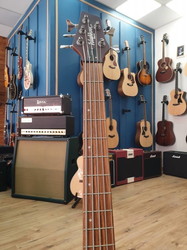 Washburn T25