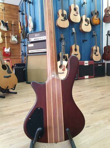Washburn T25