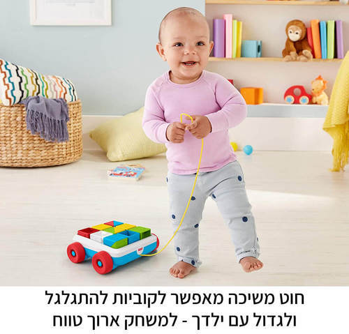 פישר פרייס קוביות משיכה
