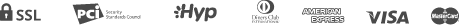 payment_icon