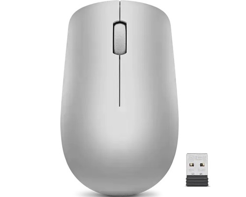 Lenovo 530 Wireless Mouse (Platinum Grey)