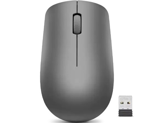 Lenovo 530 Wireless Mouse (Graphite)