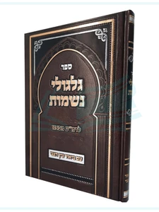 ספר גלגולי נשמות / לרמ"ע מפאנו