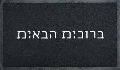שטיחון כניסה poly-tech צבע שחור- 45/75 ס