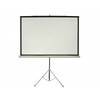 מסך הקרנה + סטנד בגודל 221*125 ס"מ