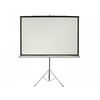 מסך הקרנה + סטנד בגודל 240*240 ס"מ