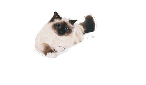 רויאל קנין היירבול - 4 ק״ג - Royal Canin Hairball Care