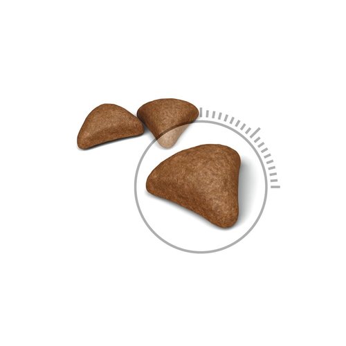 רויאל קנין היירבול - 4 ק״ג - Royal Canin Hairball Care