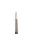 מכחול Winton (עגול) מס' 8 Winsor & Newton