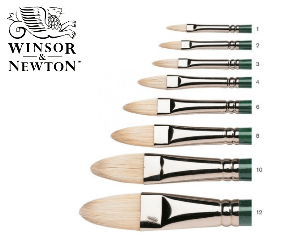 מכחול שיער טבעי לצבעי שמן מסדרת Winton (פילברט) במבחר גדלים