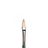 מכחול Winton (פילברט) מס' 6 Winsor & Newton