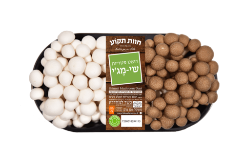 דואט שימגי - חום לבן