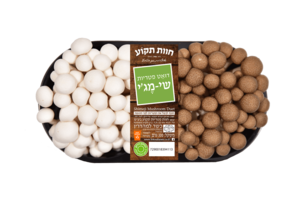 דואט שימגי - חום לבן