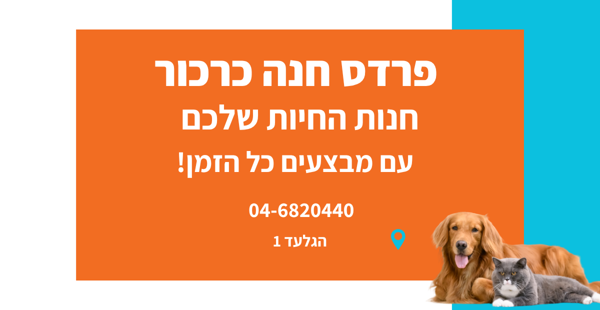 חנות חיות בפרדס חנה