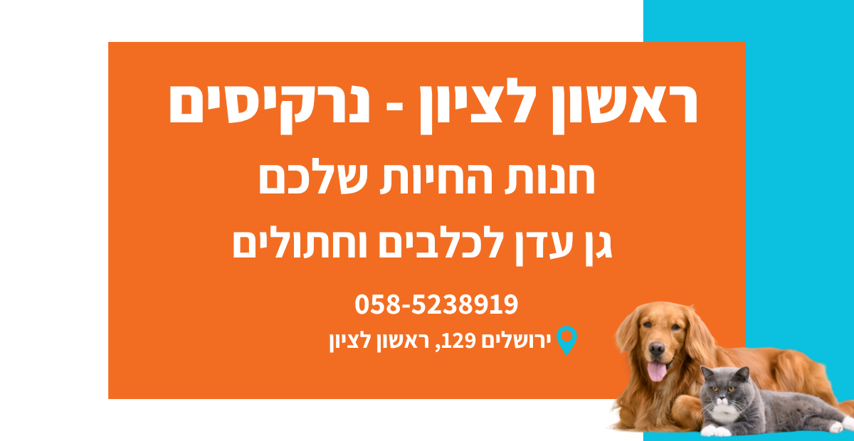 חנות חיות ראשון לציון הנרקיסים