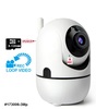 מצלמה IP ממונעת PT HD 1080P 4MP עם ראיית לילה והקלטה על כרטיס זיכרון