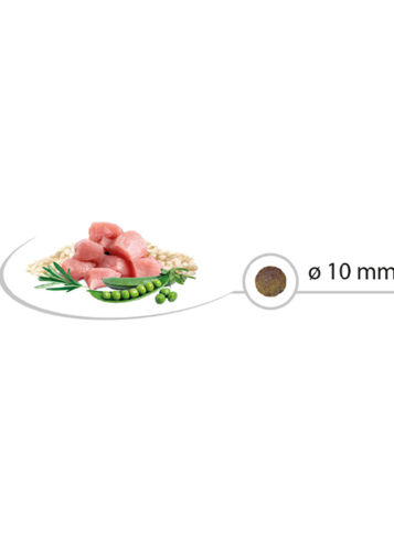 סלקט מזון יבש לחתולים בוגרים עוף ואורז 2 קג