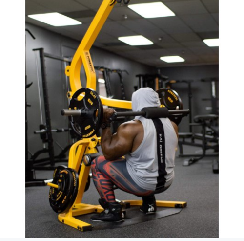 WB-LS-Y POWERTEC מולטי טריינר