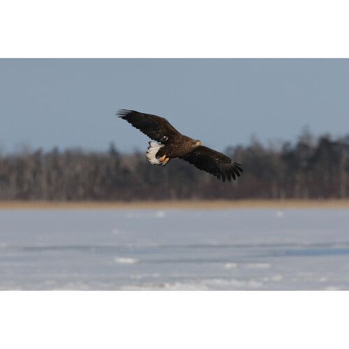 קיט מצלמה ועדשה Canon EOS R7 + 18-150mm