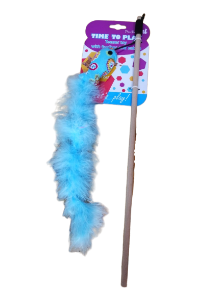 חכה דג עם נוצה