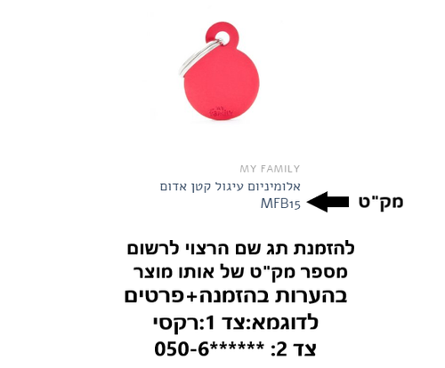 תג שם לחתול 