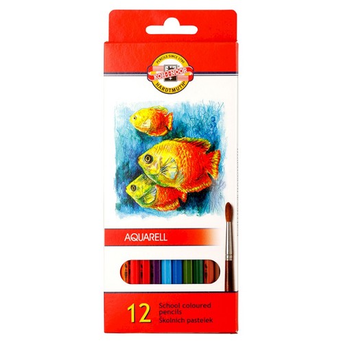סט 12 עפרונות אקוורל SCHOOL באריזת קרטון ( עפרונות מים)