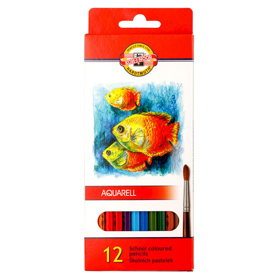 סט 12 עפרונות אקוורל SCHOOL באריזת קרטון ( עפרונות מים)