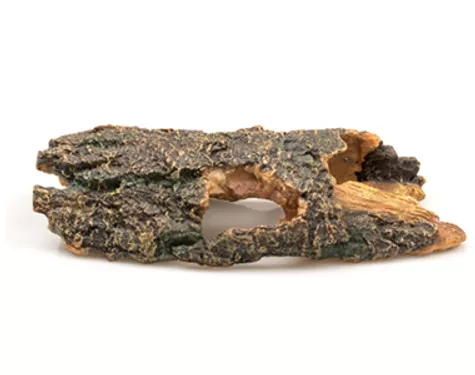 דקורציה גזע  עץ G04-00585 מידות 12,5x12x16,5cm