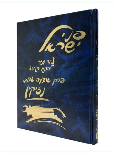 פני ישראל - פרק ארבעה אבות נזיקין