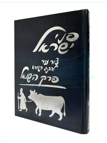 פני ישראל - פרק השואל