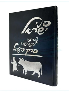 פני ישראל - פרק השואל