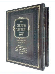 ספר נתיבות רבותינו - לבית הלוי בריסק