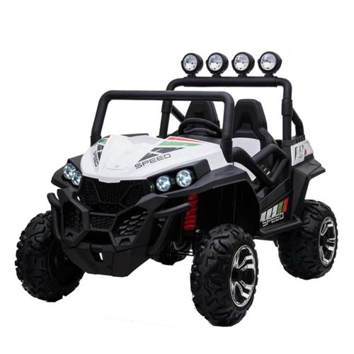 באגי ממונעת RZR 24V 2X4