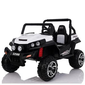 באגי ממונעת RZR 24V 2X4