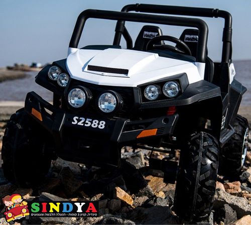 באגי ממונעת RZR 24V 2X4