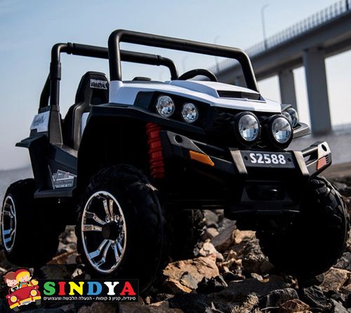 באגי ממונעת RZR 24V 2X4