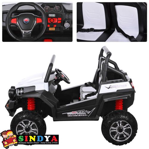 באגי ממונעת RZR 24V 2X4