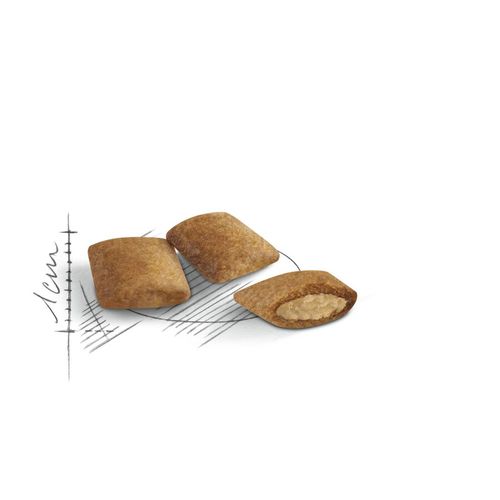רויאל קנין אייג'ינג +12 כריות מזון לחתולים מבוגרים 4 ק