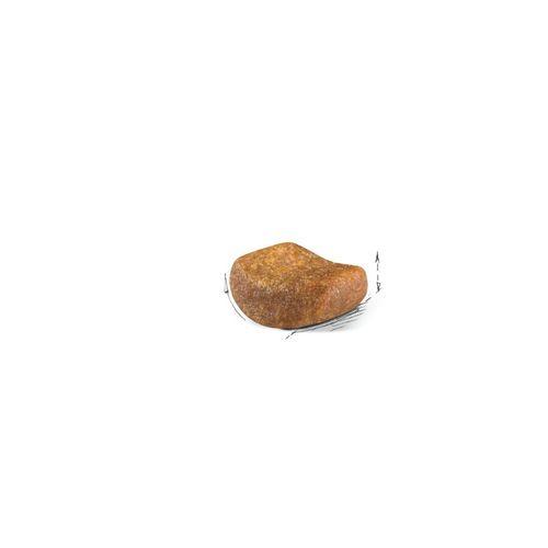 רויאל קנין בריטי קצר שיער מזון חתולים 10 ק