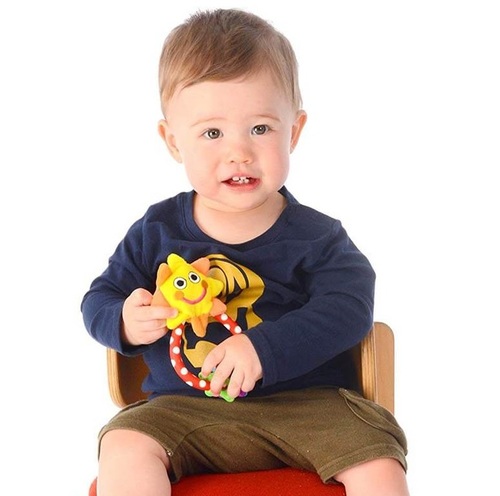 נשכן משולב רעשן דו-צדדי שמש וכוכבים Stars & Sun