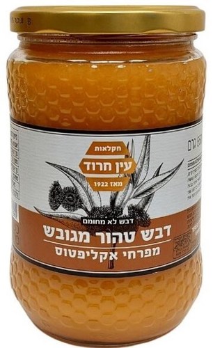 דבש טהור מגובש מפרחי אקליפטוס 850 גרם - עין חרוד