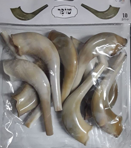 מארז 10 שופר פלסטיק טבעי 12 ס